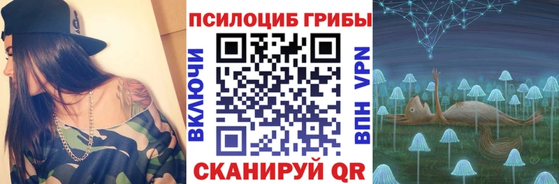 Галлюциногенные грибы мицелий  купить наркотик  Любим 