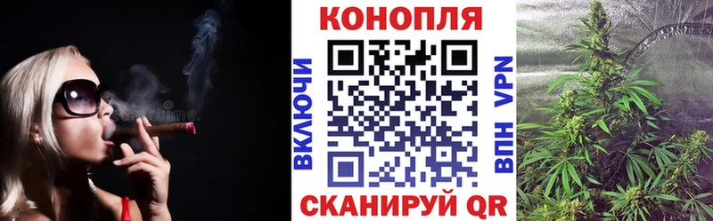 закладки  Любим  Каннабис гибрид 